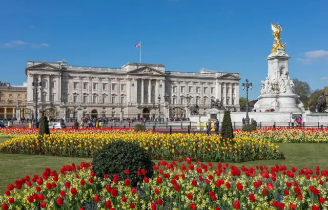 Illustration for “Recreating Buckingham Palace”
