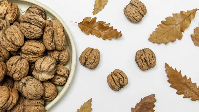 Walnuts in a bowl; illustrative allergy-related photograph.