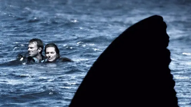 Illustration for “Open Water (2003)”