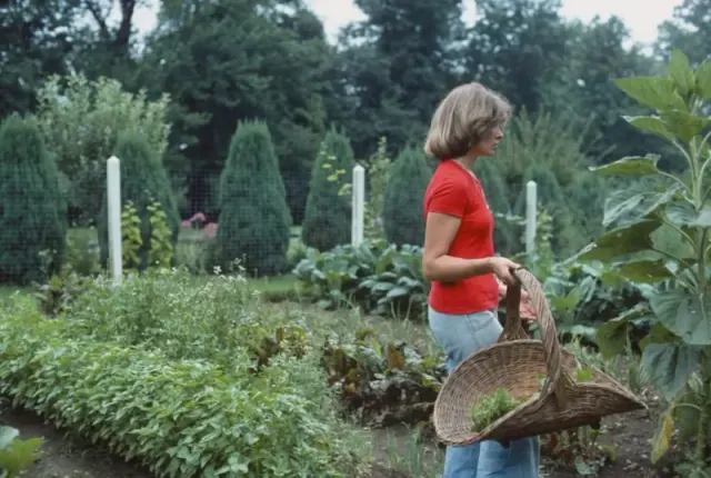 Illustration for “Martha Didn’t Really Reach This Level of Success on Her Own”