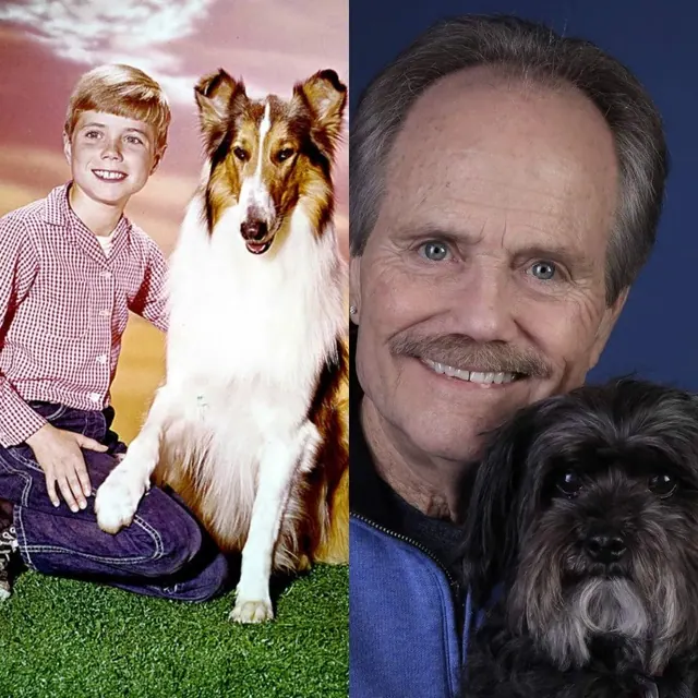 Archive photographs of Jon Provost at different ages.