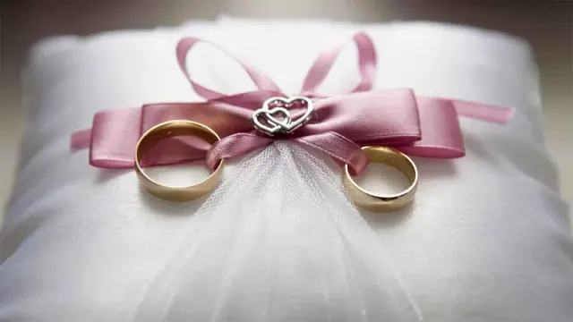 Illustration for “The Wedding Day”