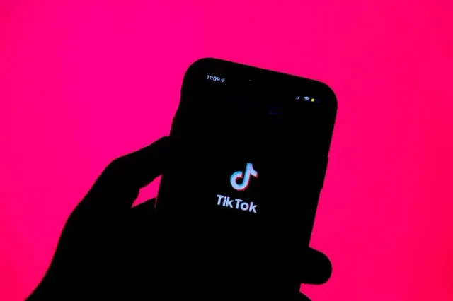 Illustration for “What Is the TikTok Ban?”