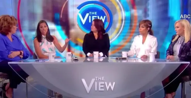 Illustration for “Meghan’s Opinion on The View”