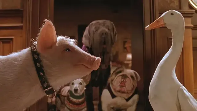Illustration for “"Babe: Pig In the City" (1998)”