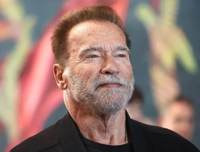 Illustration for “Arnold Schwarzenegger Detained at German Airport”