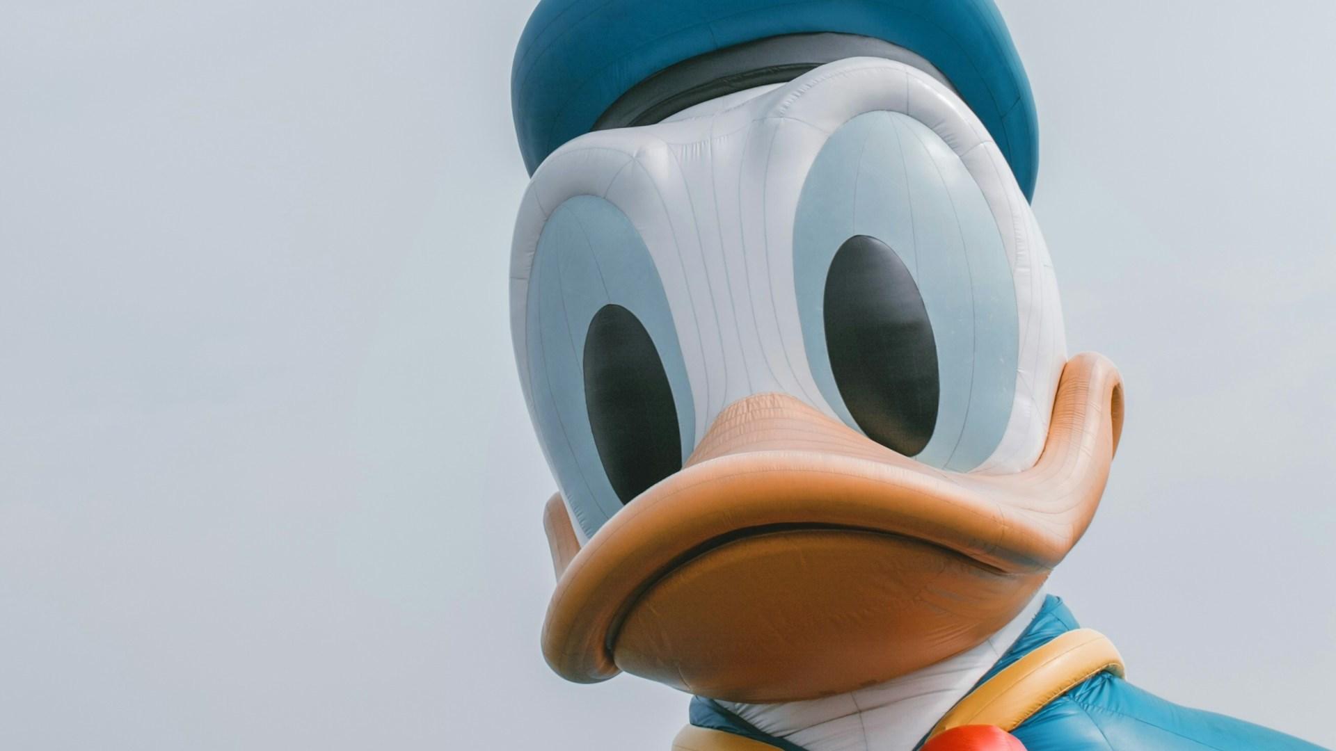 A Donald Duck character costume; illustrative Disney photograph.