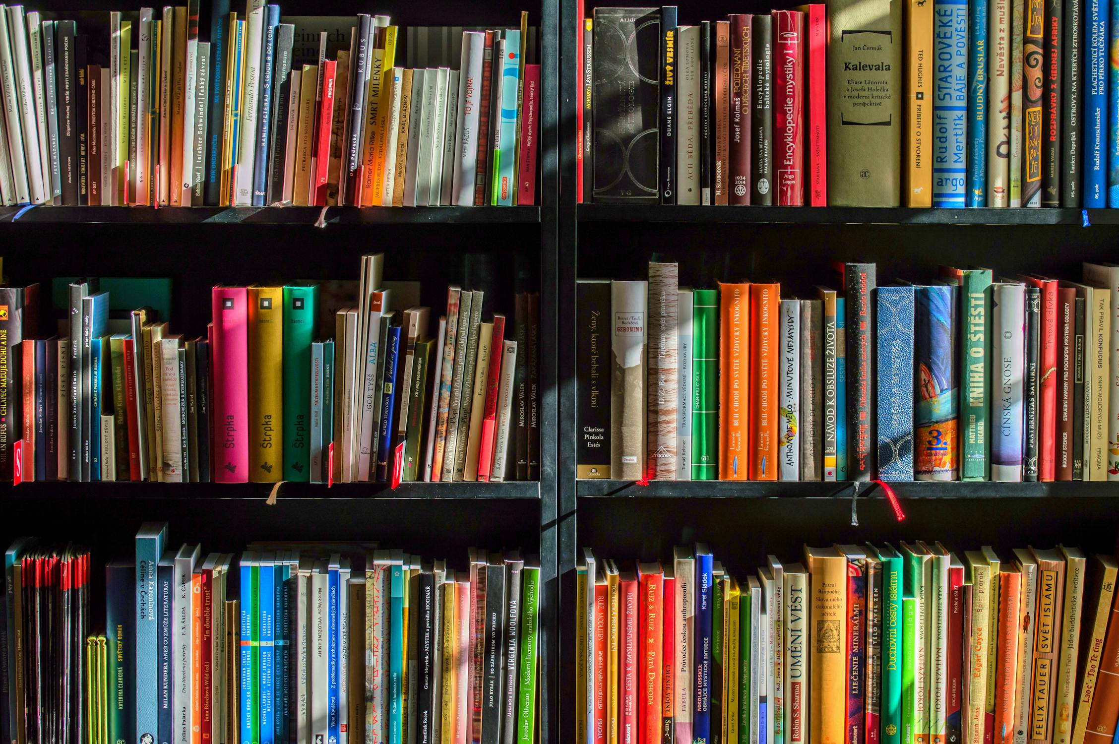 Library bookshelves; illustrative photograph.