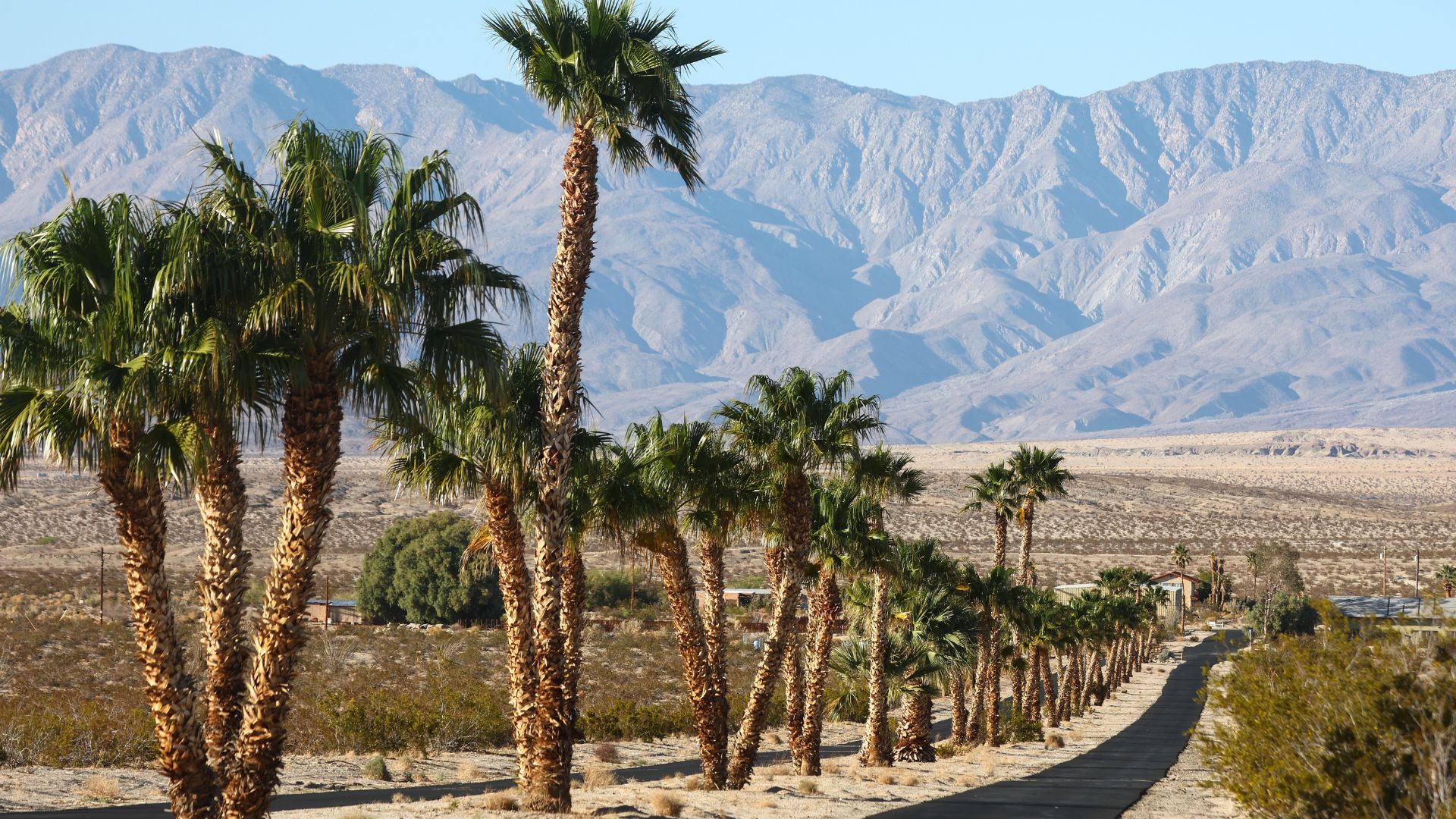 Archive desert landscape photograph with palms and mountains.