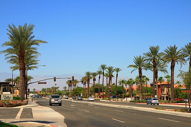A palm-lined road in Rancho Mirage.