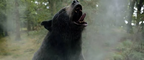 Illustration for “Cocaine Bear: From Drug Smuggling to Bear Mayhem”