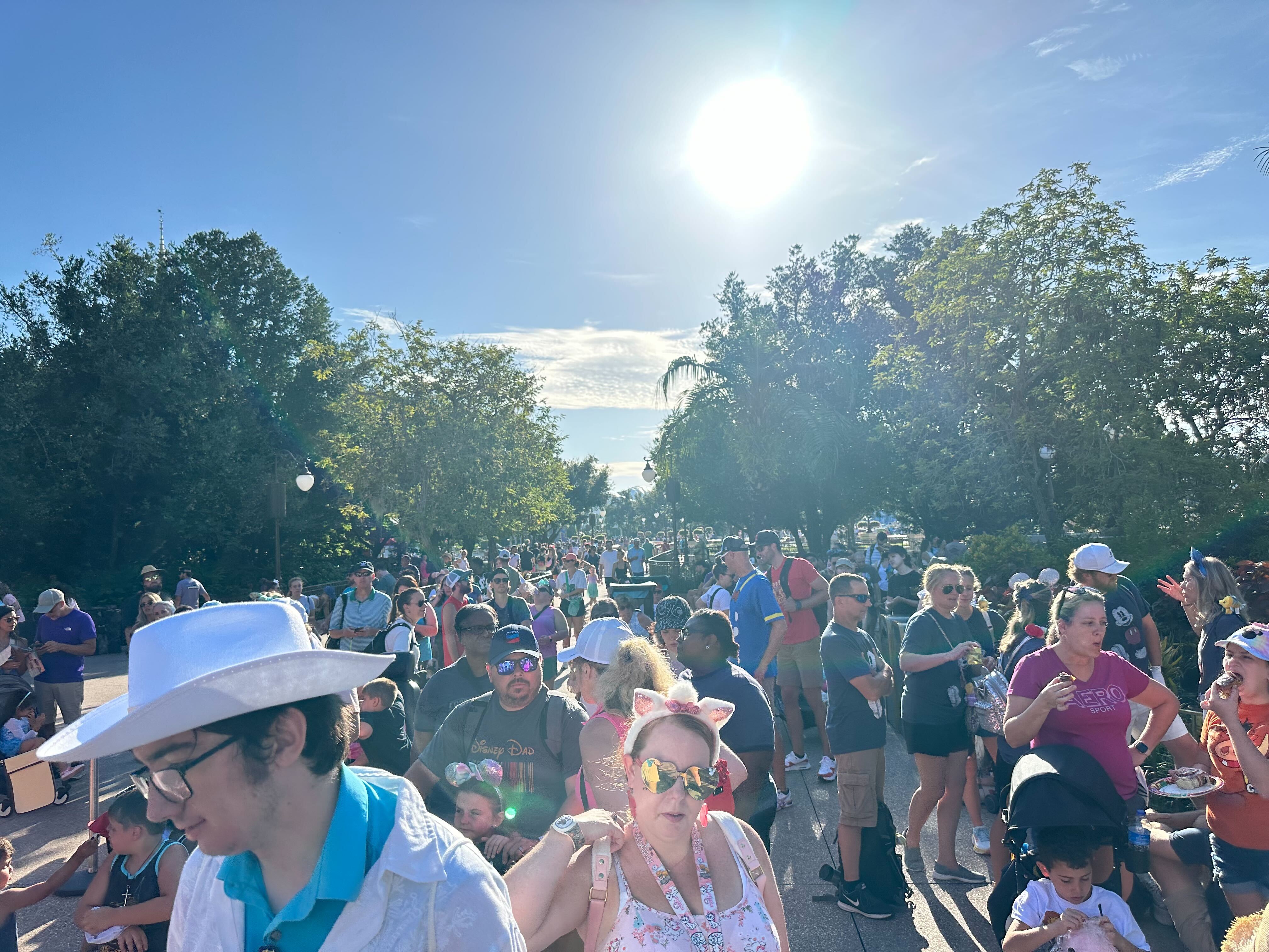 Visitors at a Disney theme park.